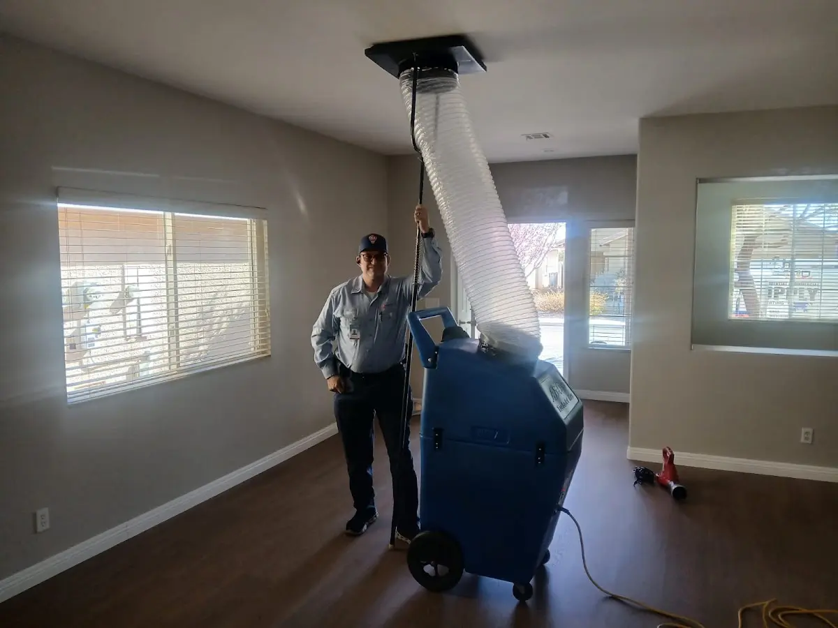 Professional Dryer Vent Cleaning work inside a Potomac Park home